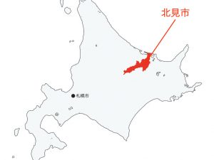 道東に位置する北見市は、カーリングの街としても知られる