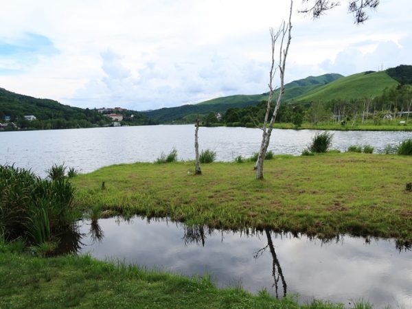 訪れてみると町の中心部には本陣をはじめ、いくつかの古い建物が残されており、歴史のある町。それだけに住宅も住み続けるものという意識もうなずける