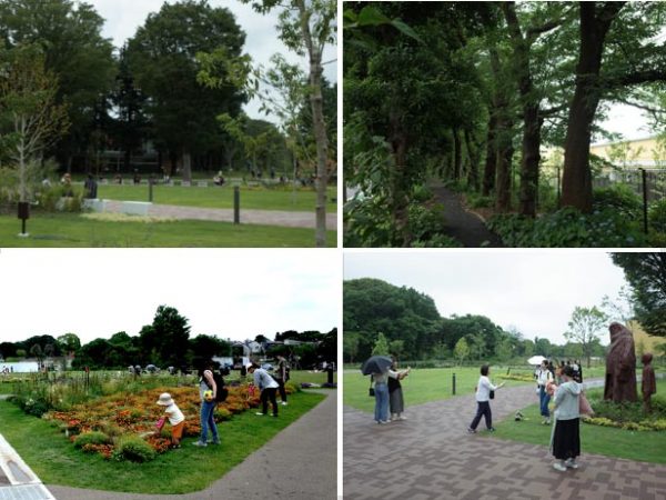 コスプレをして来場するお客さんたちなど