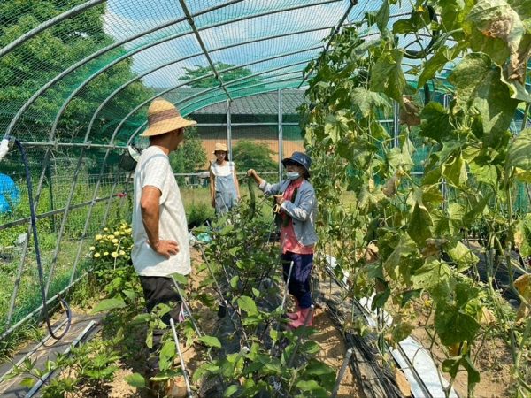 吉野のTENJIKU改修中の様子。最終的には快適な空間に生まれ変わった