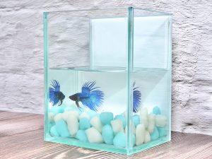 ガラスよりも耐久性があり割れにくいことや、水に沈む性質からアクアリウムに使用するのもおすすめだとか。水洗いで汚れが落ちるうえ、砕けたりしないので水が濁ることもない