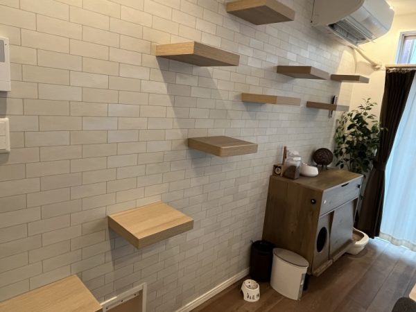 リビングの壁にキャットウォーク、左下には猫ドアをつくった