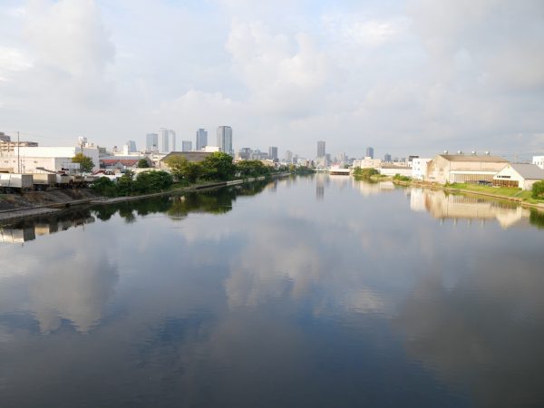 緑地や遊歩道が作られた運河沿い。しかし、メッツラーさんは「人工的に作られた緑ではなく、繁殖するありのままの緑こそ、欠かすことのできない中川運河の風景」だと語っていた