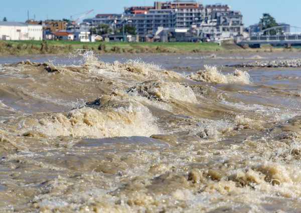 2019年の台風19号で増水した多摩川