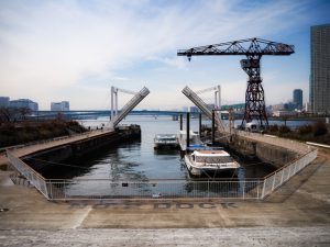 先行して日本橋～豊洲ルートが開始し、来年春には晴海～日の出ルートが運航予定だ