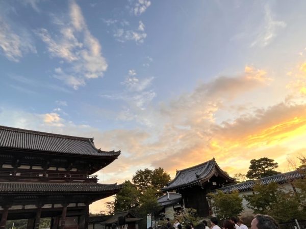 開催翌月に発行される建築学生ワークショップドキュメント・ブック（図録）。画像は2020～2022年開催のもの。2023年版も楽しみだ（引用：https://ws.aaf.ac/）