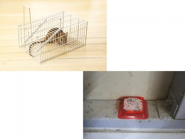ネズミのかじる力は強い。そのため排水口などの侵入口を塞ぐ際は、金属製のものを使用したい。身近なものでは金だわしを利用することもできる。侵入口がわからない場合は専門業者に依頼するのが無難（出典：東京都ペストコントロール協会HP）