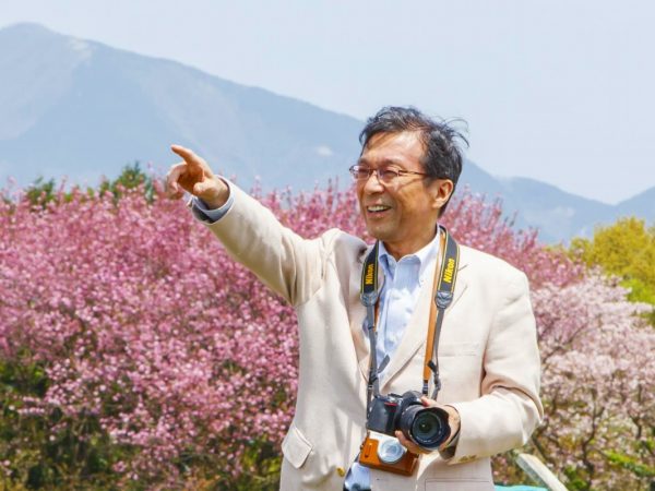 桜の焼却灰からつくった釉薬をかけると、焼き上がりが桜色に