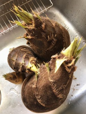 竹を建築の現場で使えないかという取組みを推進する日建ハウジングシステムの古山明義氏