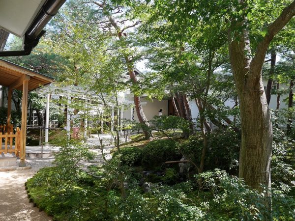 手前は剪定を終えたばかりの赤松。その奥には雄大な枯山水庭が広がる