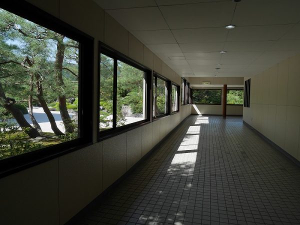 手前は剪定を終えたばかりの赤松。その奥には雄大な枯山水庭が広がる