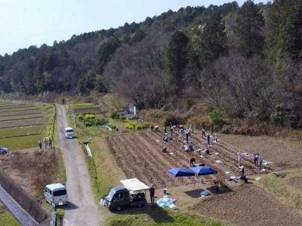 愛知・南知多町の農地に1000本の大島桜のほか、食用桜花の関山、観賞用として早咲きの大漁桜を植樹。海と桜の美景も楽しめそう