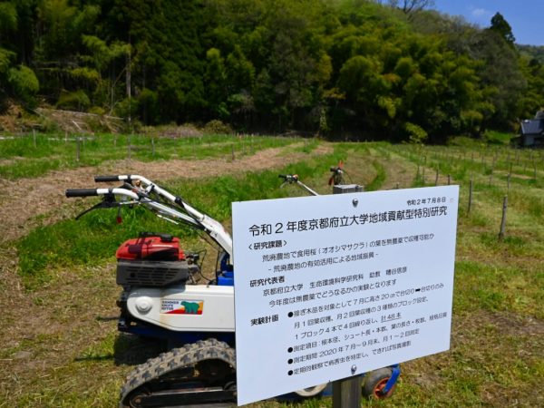 桜の名所やショップを表記した、京都府与謝野町の観光マップ