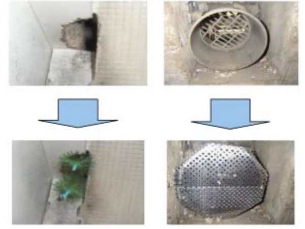 ネズミのかじる力は強い。そのため排水口などの侵入口を塞ぐ際は、金属製のものを使用したい。身近なものでは金だわしを利用することもできる。侵入口がわからない場合は専門業者に依頼するのが無難（出典：東京都ペストコントロール協会HP）