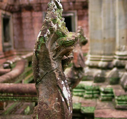 ヒンドゥー神話に登場する竜蛇族ナーガ。その姿は7つの頭をもつコブラのようで、古代インドの蛇信仰の影響を受けていると思われる。ブッダが悟りを得たときに守護したことから仏教では八大龍王として信仰の対象とされる