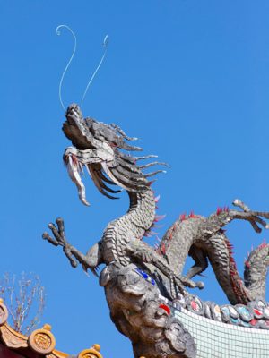 中国の龍の起源は仰韶（ぎょうしょう）文化（紀元前5000年）まで遡る。その姿は体は大蛇に似て一面に鱗（うろこ）があり、四足には５本の爪を持ち、頭には鹿のような角があり、顔が長く大きな耳がついている。口元には立派な髭があり、喉元には逆さ鱗もついている。水に潜み雲を呼び雨を降らす権能を持っているとされる。一説ではワニがその原型ではないかと言われている