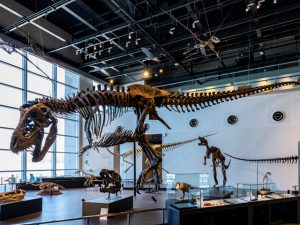 龍の伝承が残された地域では、多くの場合、恐竜の化石が発見されている。古代中国では龍骨として恐竜の化石が装飾にも使われた。多くの化石が発見された北米大陸でも、先住民の間にドラゴンの伝承が残されており、巨大な壁画が存在していた記録もある