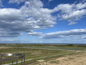 ＊宮城県山元町の防災集団移転元地（2023年10月撮影、宮城県山元町）