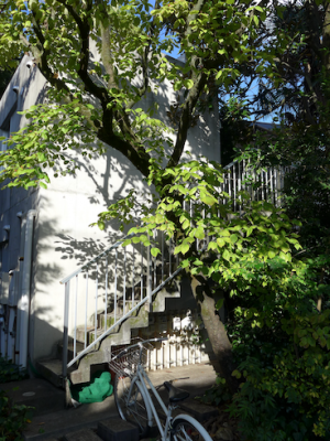 成蹊学園西側の住宅地