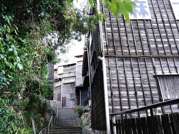 1階部分からの眺め。複雑な構造となっていることがよく分かる