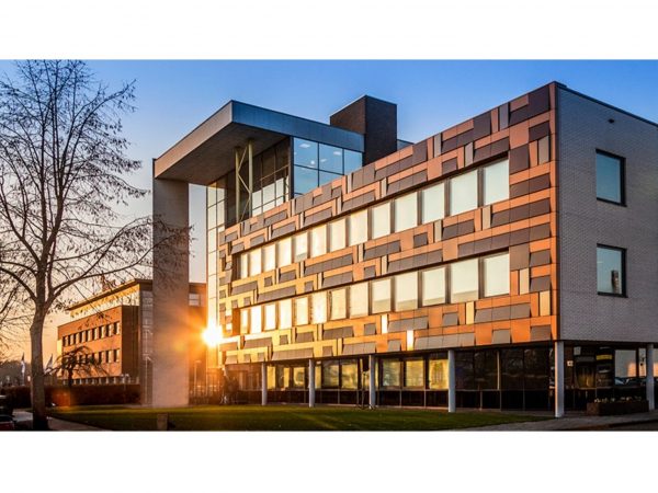 DDW会場に即席で建設された木とわらの家。現場で組み立てるだけなので工事は簡単 © Naoko Yamamoto 