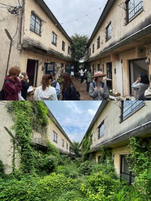 2022年、23年と2日間にわたり、旧一葉邸従業員寮が立つエリアでマルシェを開催（2023年は旧一葉亭敷地も含めエリアを拡大して開催）。学生の提案により、雑草を刈るなどしてこの場所も使って開催された。写真下はマルシェ開催前の様子