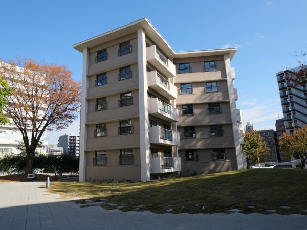 マンション60年史 同潤会アパートから超高層へ / 高層住宅史研究会 マンション60年史: 同潤会アパ-トから超高層へ | 高層住宅史研究