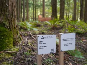 奈良県の奥大和と呼ばれる３エリア（吉野町・天川村・曽爾村）を舞台に行われたアートイベント「MIND TRAIL」。山歩きをして自然に触れながら、点在する美術作品を鑑賞するという、アートと自然・地域のコラボレーションを楽しむことができる。
