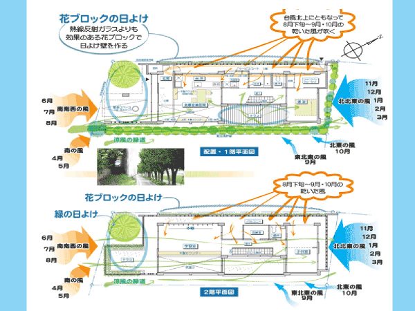 ▲“閉じつつ開く”の工夫は随所に見られる。南西側に面した駐車スペースの壁面は風通しの良い花ブロックに。その周りに植えられたハイビスカスが日よけになっている。「有孔コンクリートブロック（花ブロック）は、日中の日射しを遮断するほか、目隠し効果もあるため、防犯対策をしながら開放部を実現しています。また、風が孔を通り抜けるので、台風の時はコンクリートで強度を保ちつつ強風のバッファー（緩衝）としても重要な役割を果たします」