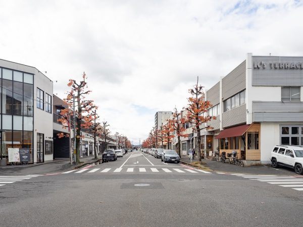 低層の建物と広い直線道路が続き、アメリカのような雰囲気が人気の問屋町。路上駐車可能エリアには自動車が並ぶ