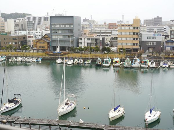 現在は、岸壁に沿って駐車場になっている道路。緑地にできれば、別の空間活用が期待できそうだ