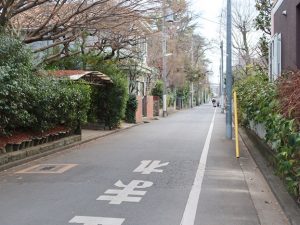 塀ではなく、生け垣にしている住宅が多いのも大きな特徴