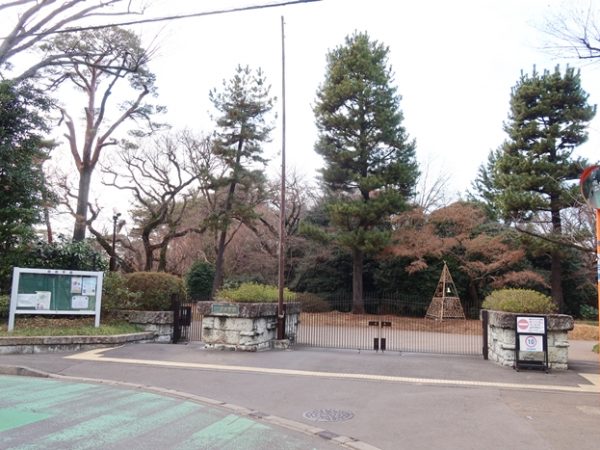 建築好きな人ならご存知だろう、西池袋にある自由学園明日館はフランク・ロイド・ライトが手掛けた端正で美しい建物だ