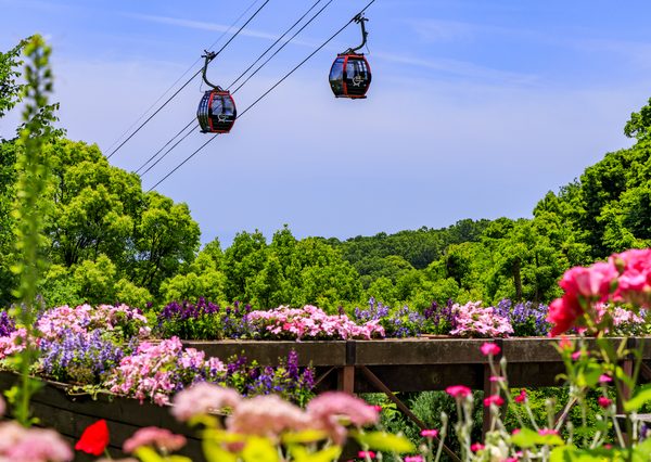 PFIで整備された仙台市天文台では、入館者数に応じてサービス購入費が支払われるスキームを採用