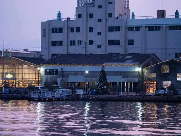対岸からの風景（写真提供：NPO法人アクア・チッタ）