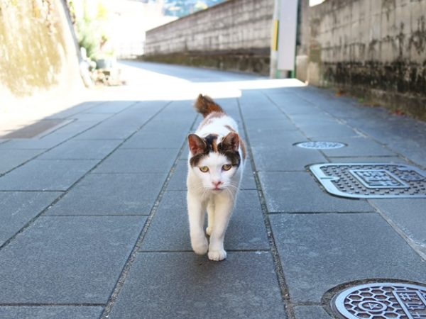 長崎駅周辺は2025年の完成を目指して複数の工事が進行中