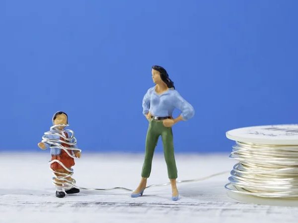 ケースによって種類の異なるシェルターが運営されている