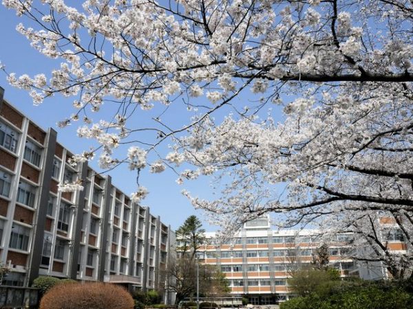 瀬口氏が通った熊本大学法学部