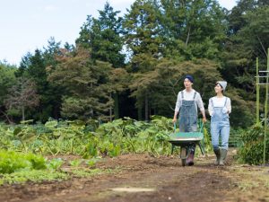 情報発信がさかんな自治体では、移住者の取り組み事例やインタビューなどの情報がWeb媒体やSNSなどさまざまな媒体で発信されている