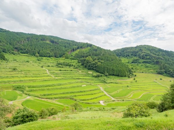 美咲町内にある名所のひとつ「大垪和西の棚田」
