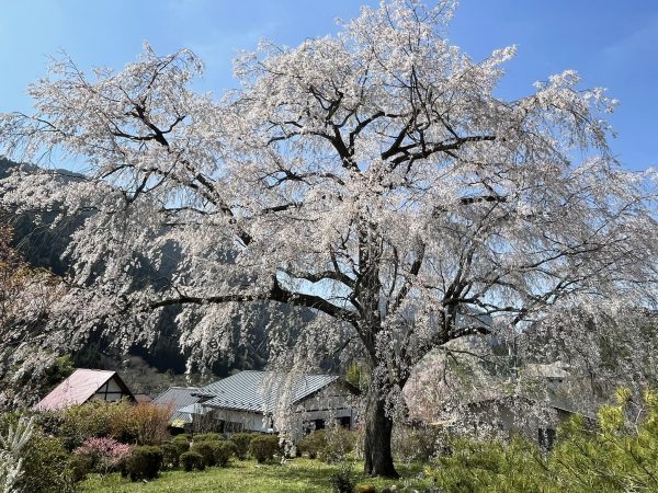 仕事だけでなく、就活、キャリア形成と話題は尽きない