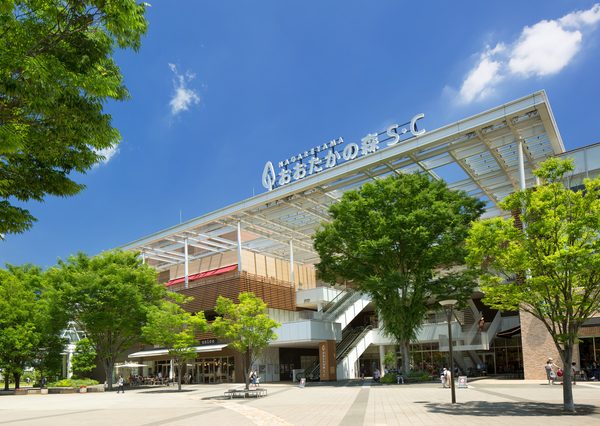 出典：国土交通省『住宅地の変動率上位順位表（東京圏）』