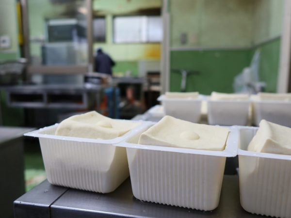 硬めの豆腐。シンプルに冷奴が一番おいしい