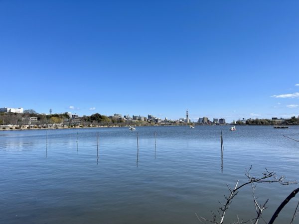 千波湖の状況（2024年3月上旬撮影）