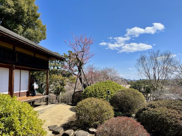 偕楽園（2024年3月撮影）