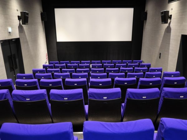 シネマネコの客席。鮮やかな色が目を惹く