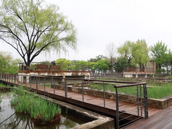 仙遊島へ渡る橋の途中で仙遊島（ソニュド）駅方向を振り返ったもの。たくさんの高層住宅が並んでいた