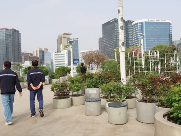 ソウル路7017。路上から見上げるダイナミックな風景