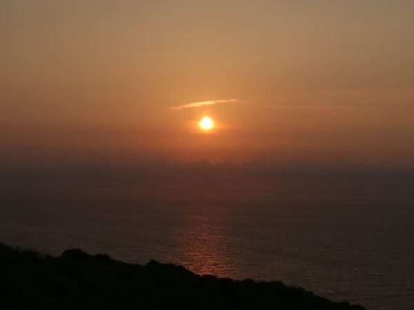 やはりいちじくは欠かせない