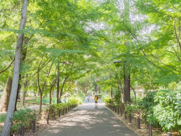 「林試の森公園」の様子